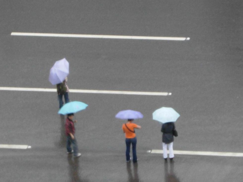 雨中即景 摄影 雪之狐