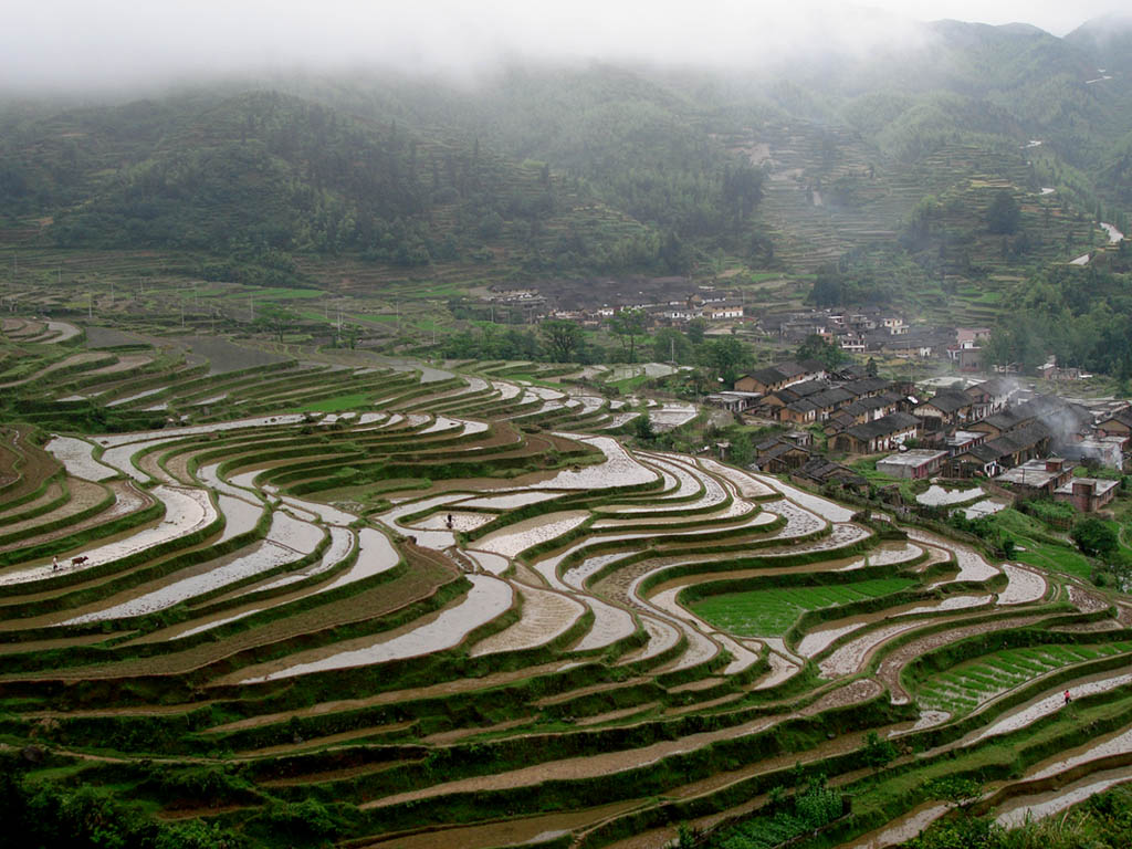 乡村景色 摄影 秋雨枫红