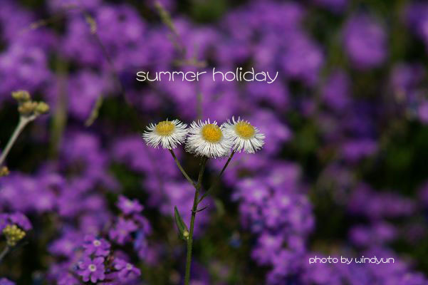 summer holiday 摄影 windyun