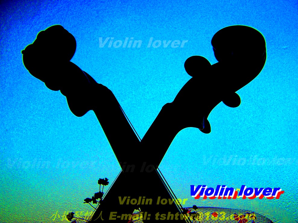 Violin lover 摄影 小提琴情人