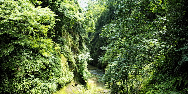 小峡谷 摄影 风帆