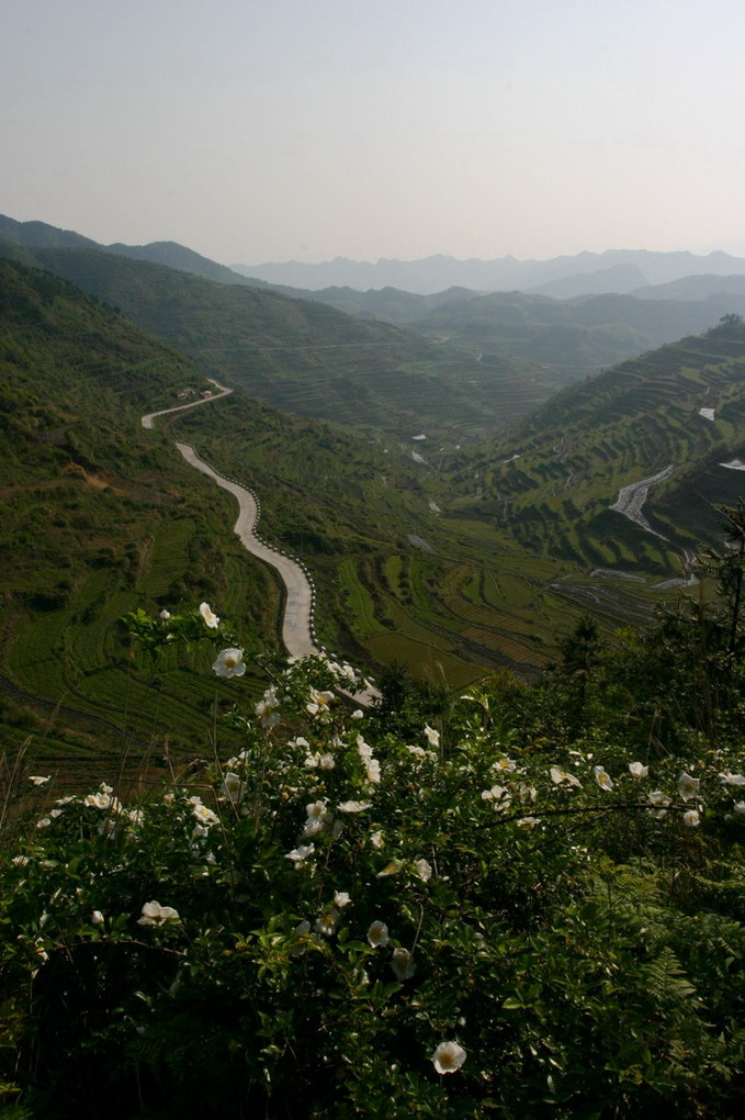 那山那路 摄影 大佛300D