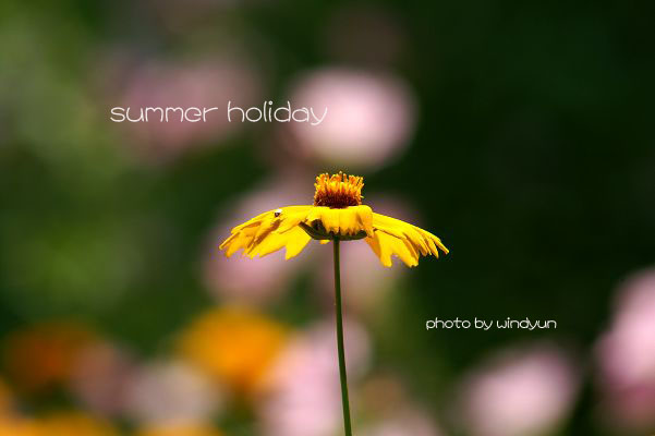 summer holiday 摄影 windyun