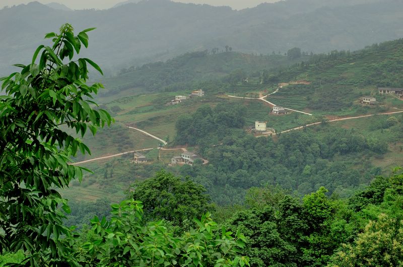 山区人家 摄影 弈天