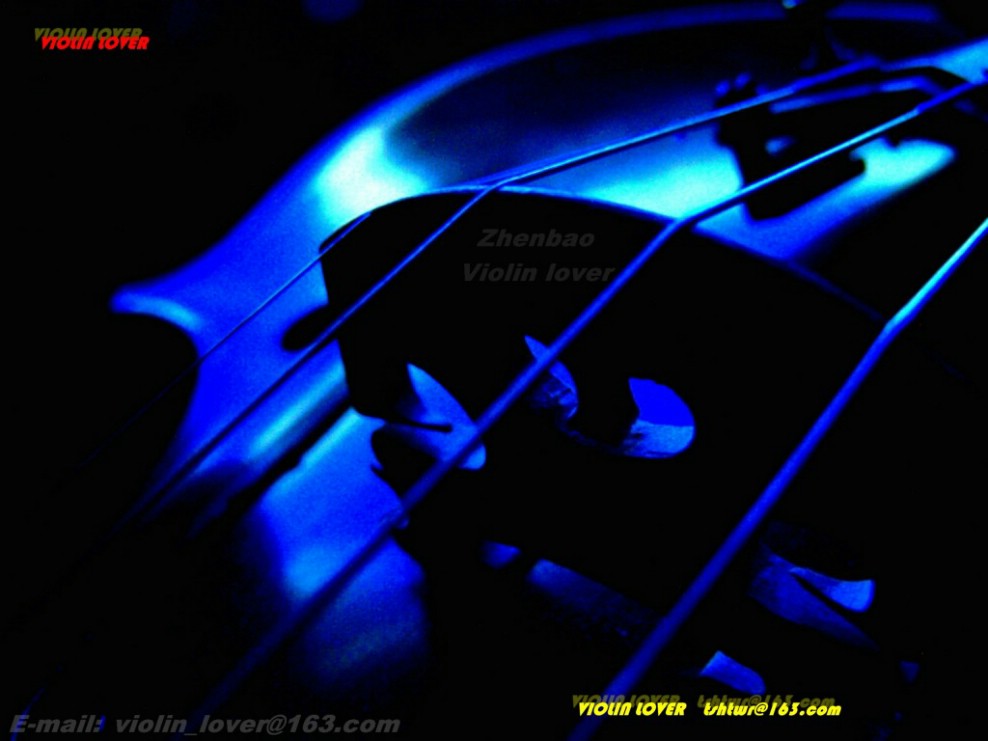 Violin lover 摄影 小提琴情人