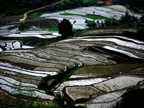 大地写画 摄影 小河淌水