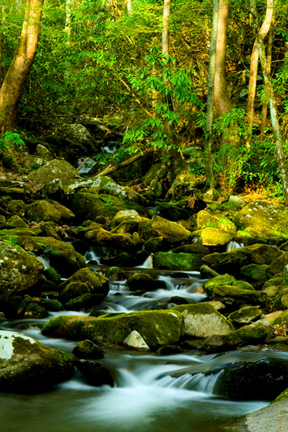 Great Smoky Mountains 摄影 yuhan