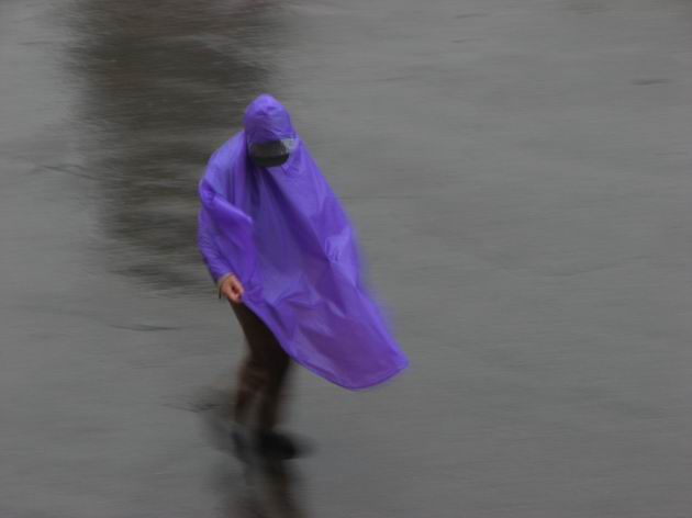 雨来行色急 摄影 哈军哥