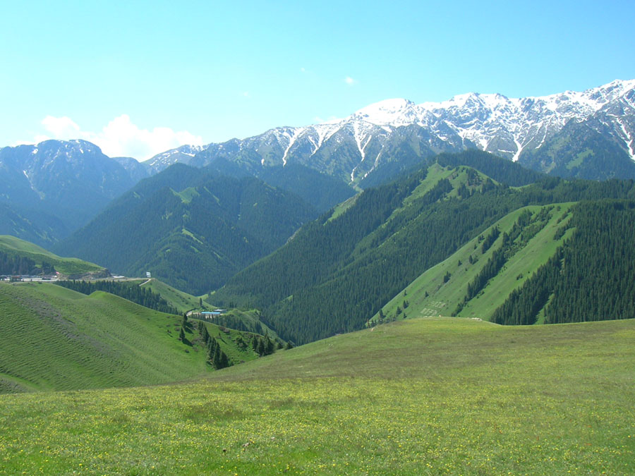 家乡美景 摄影 草原湖