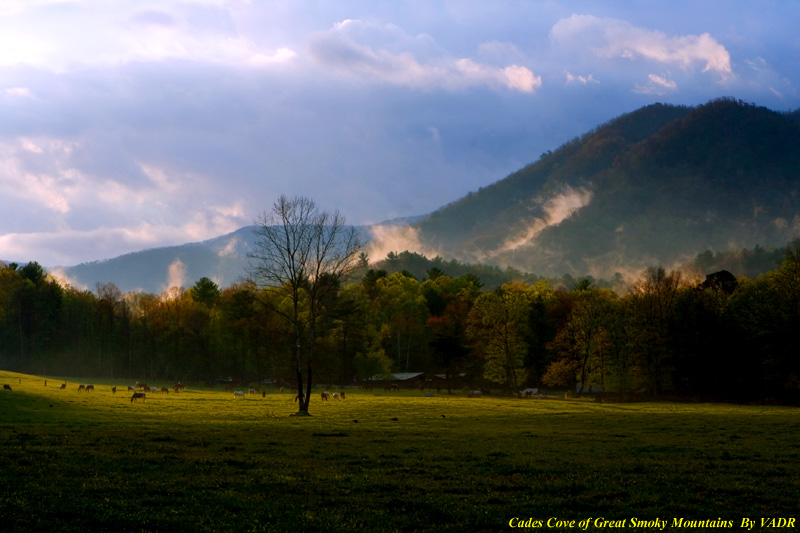 Great Smoky Mountains 摄影 yuhan