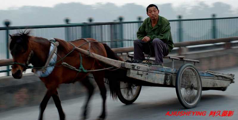 跑马骝骝的早晨 摄影 张庆久