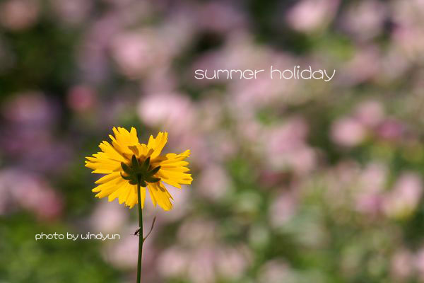 summer holiday 摄影 windyun