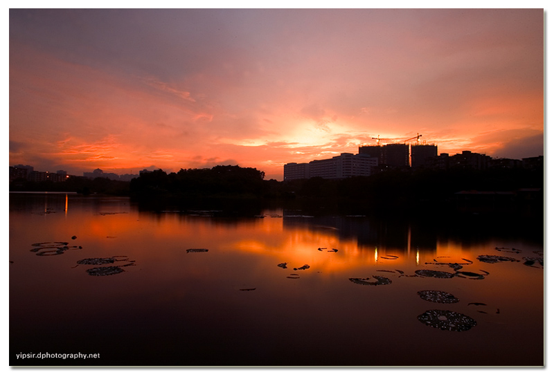 我喜爱的流花湖 - 雨后夕阳 摄影 yipsir