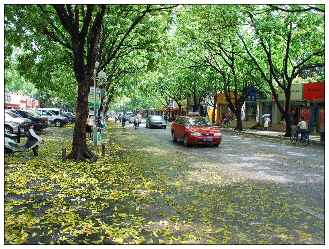 五月风雨停后的街道 摄影 光光影影