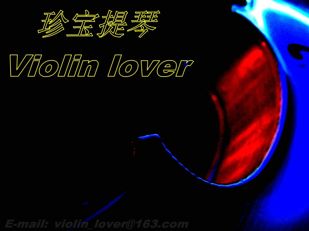 Violin lover 摄影 小提琴情人