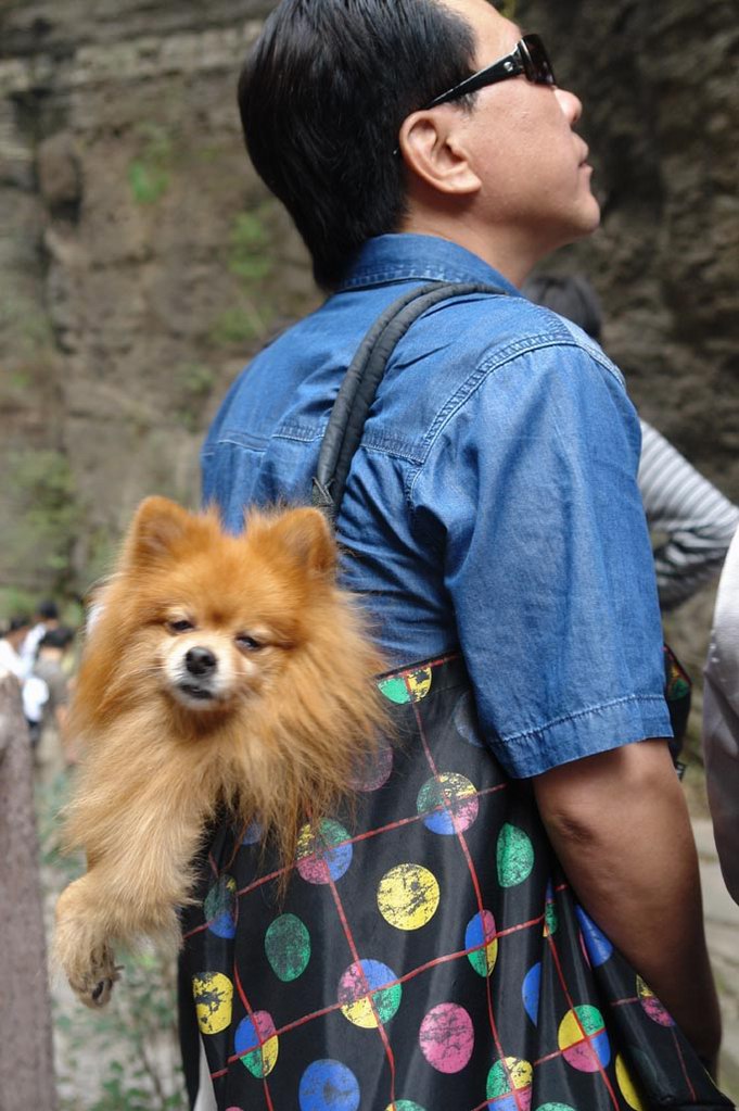 携贝贝游山 摄影 黄梦婕