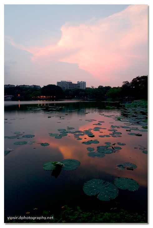 我喜爱的流花湖 - 余辉 摄影 yipsir