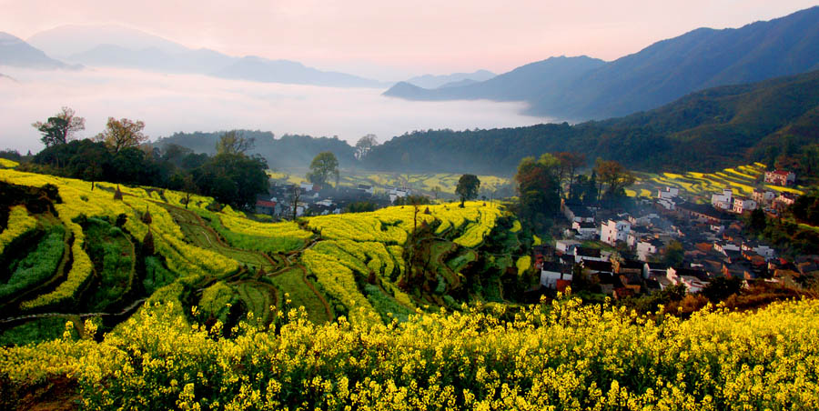 江岭春晓 摄影 清风淡影-1