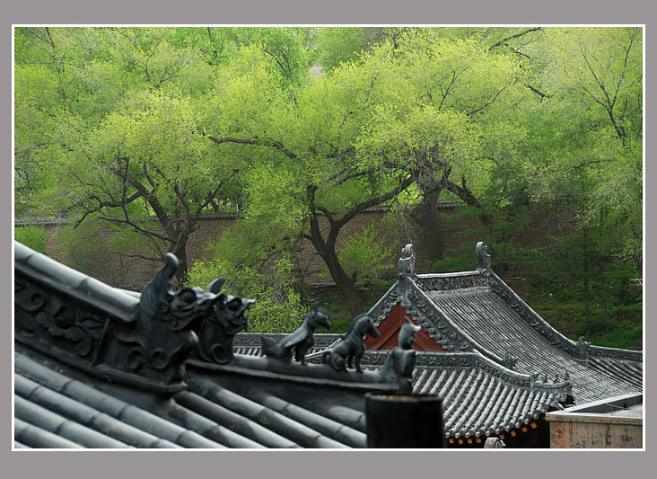 清凉境地 摄影 雨亦奇