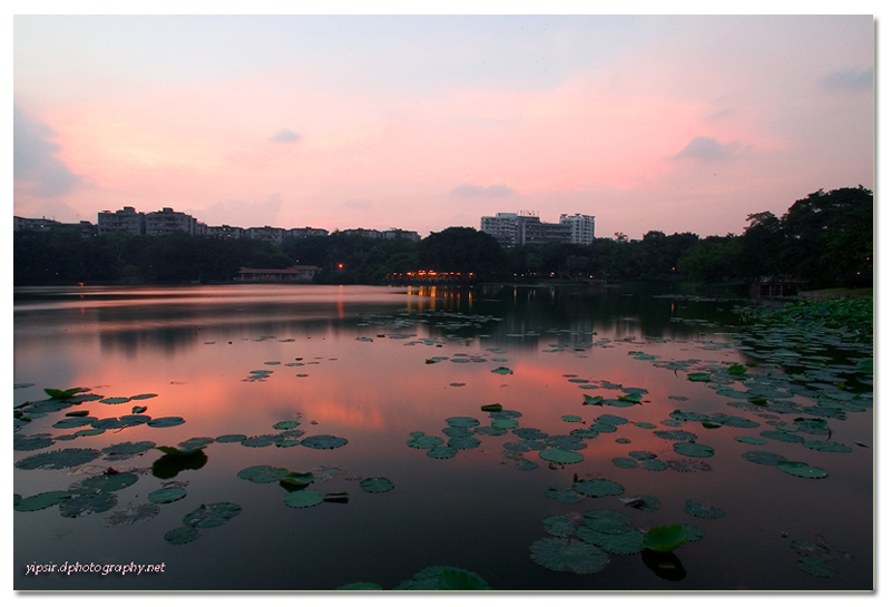 我喜爱的流花湖 - 余辉 摄影 yipsir