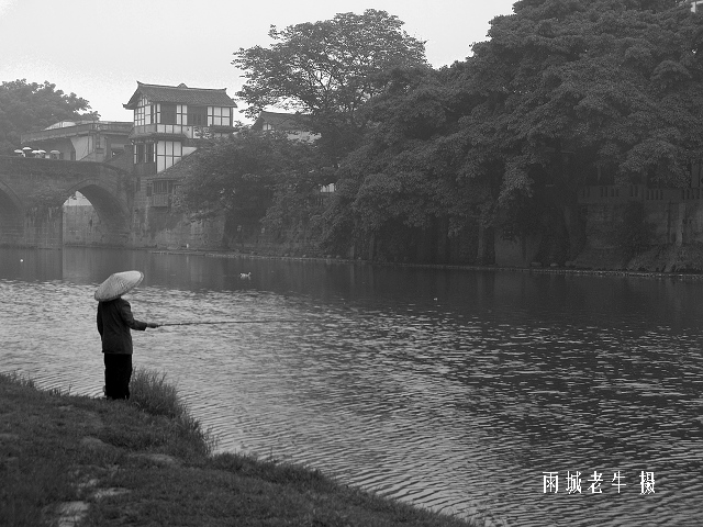 平乐印像(3) 摄影 雨城老牛