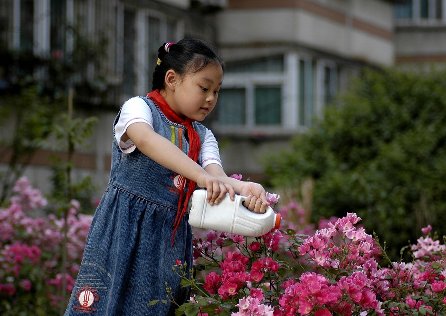 祖国的花朵 摄影 ckc