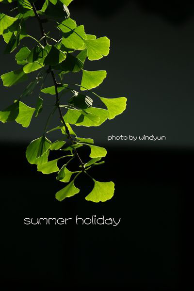 summer holiday 摄影 windyun