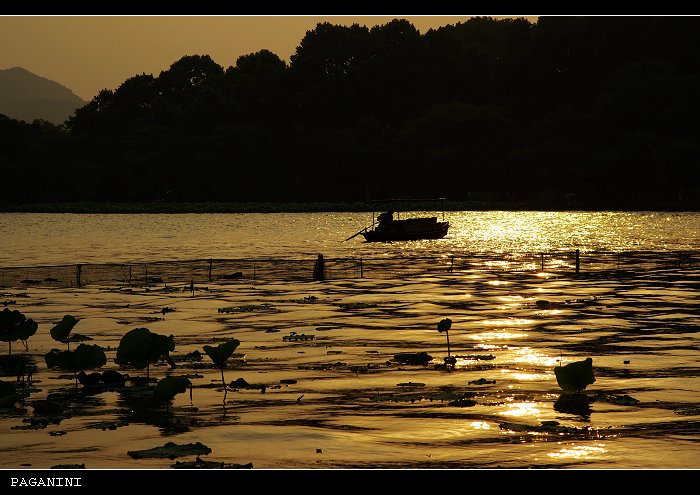 西湖夕阳 摄影 老帕