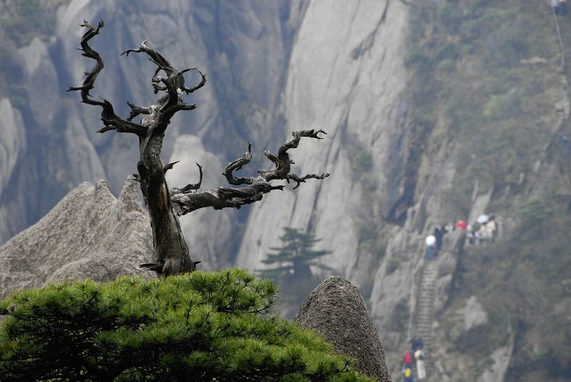 松魂 摄影 黄山根宝