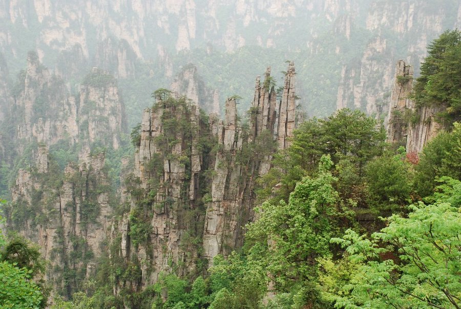 自然盆景1 摄影 彼岸的风景