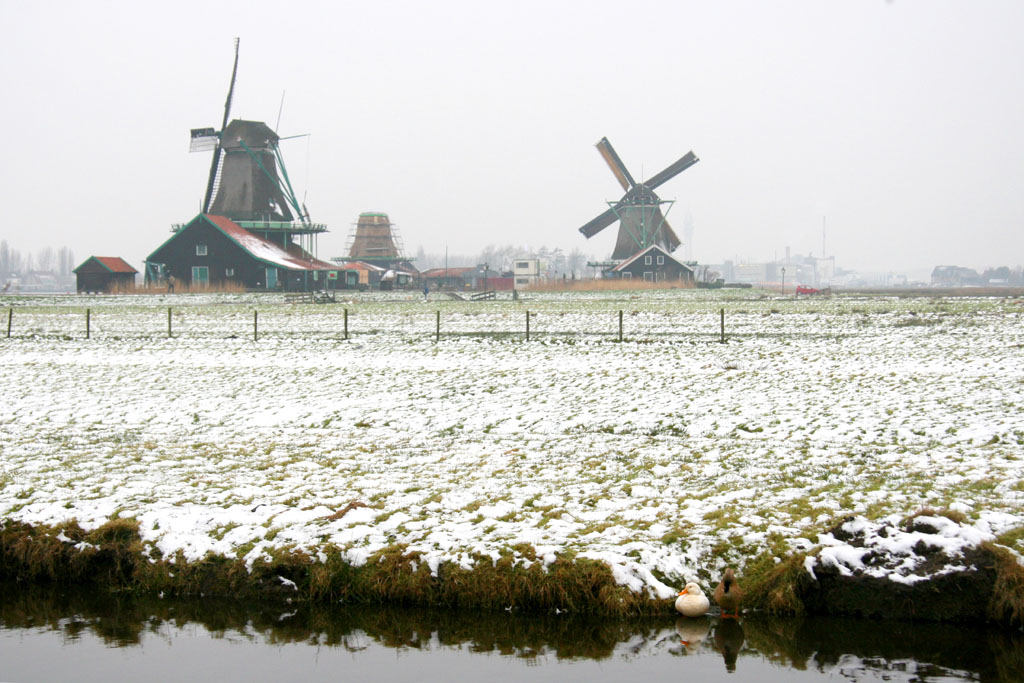 荷兰风光 摄影 网鼠
