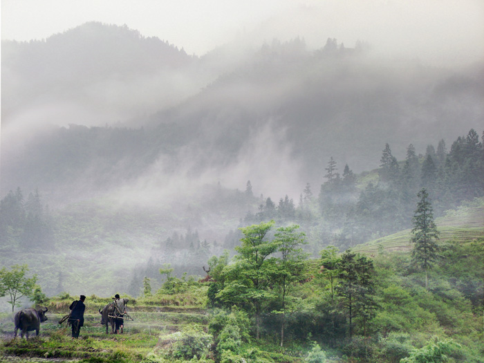 雨后青山 摄影 老广