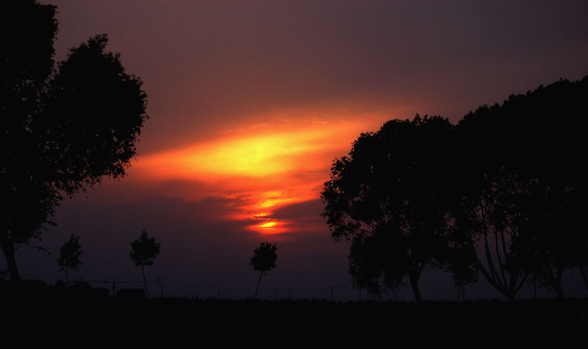 夕阳西下 摄影 梅花拳