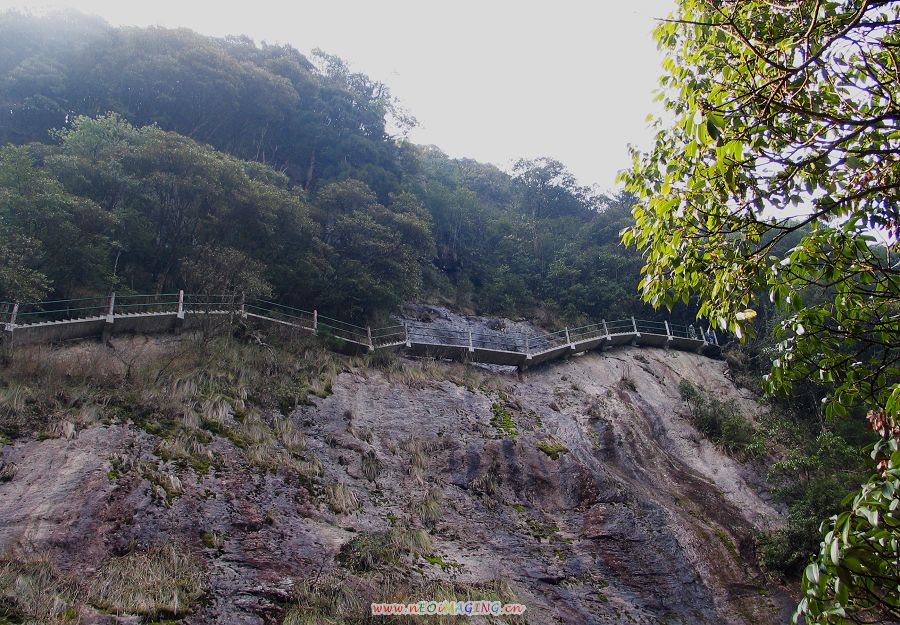 路（10） 摄影 千岛湖