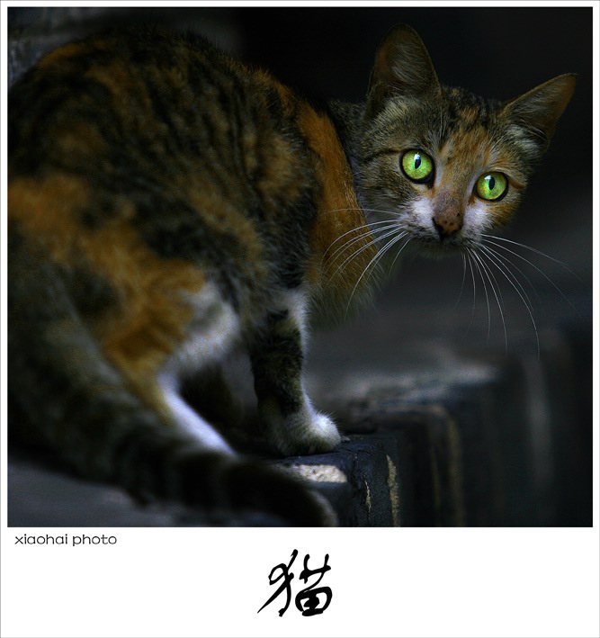 晓海人像摄影作品--回头! 摄影 伤了就痛