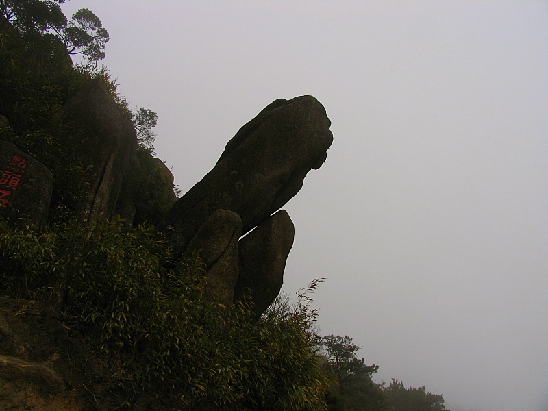 偶尔露峥嵘 摄影 蓝色驴