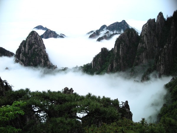 黄山云海 摄影 北海