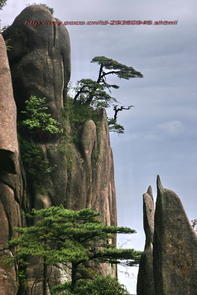 三清山风景 摄影 liangjk