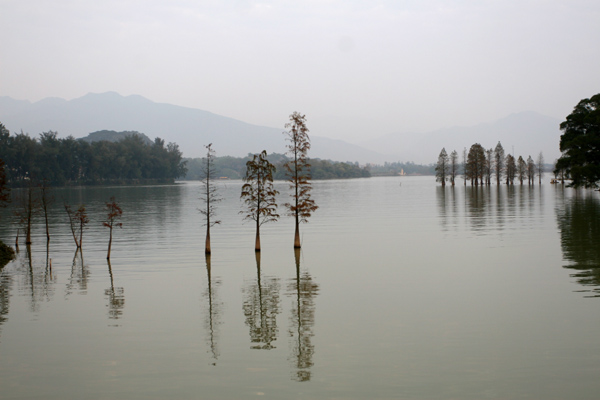 在水一方 摄影 济南泉水