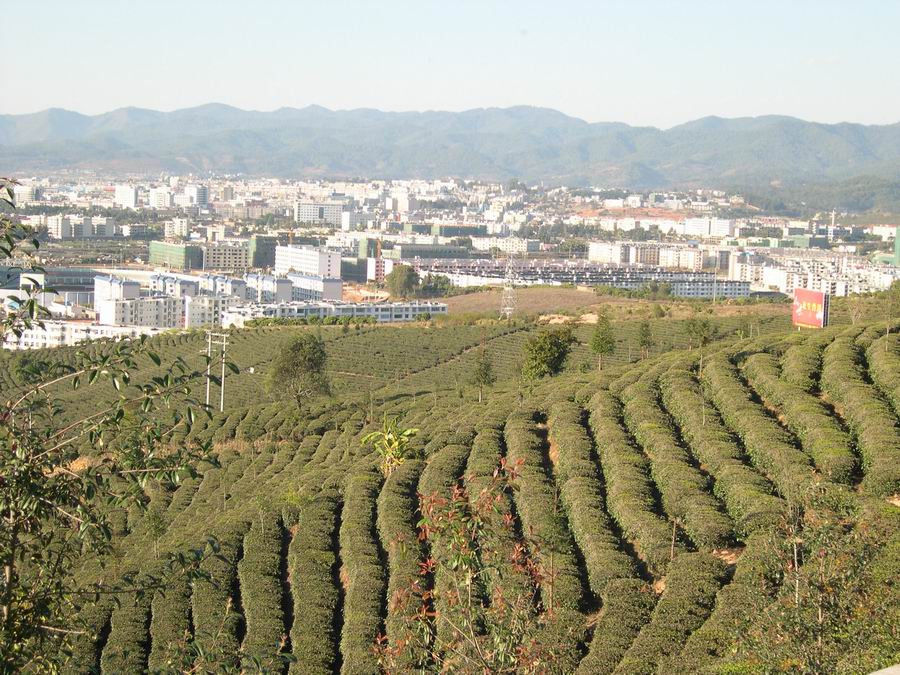 普洱与普洱茶 摄影 铁道兵