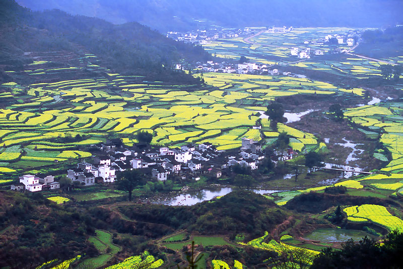 锦绣山河 摄影 与世无争