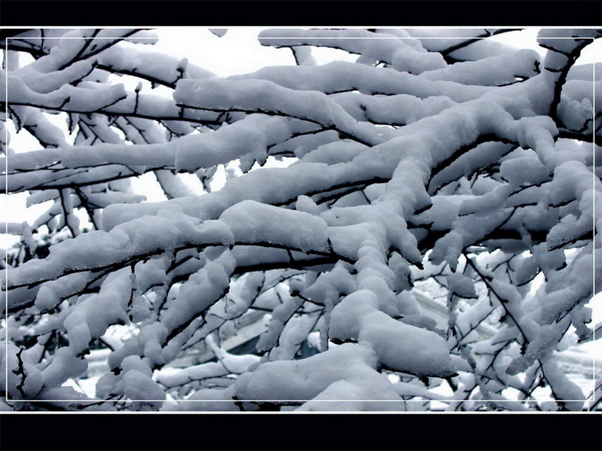 愿擢清凉一抔雪 摄影 阿璐