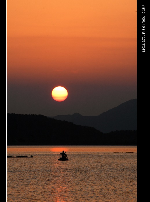 摇着夕阳回家 摄影 老黄牛.