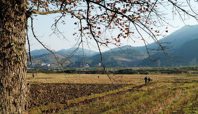 小城小景 摄影 fslwt