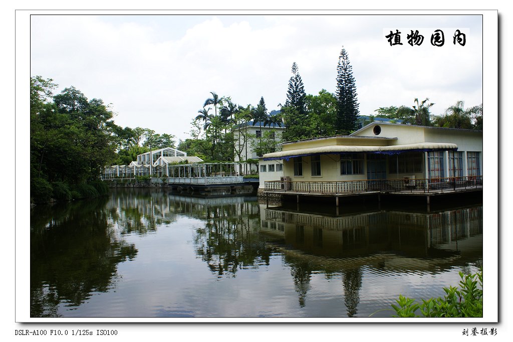 植物园内景色 摄影 刘鎏