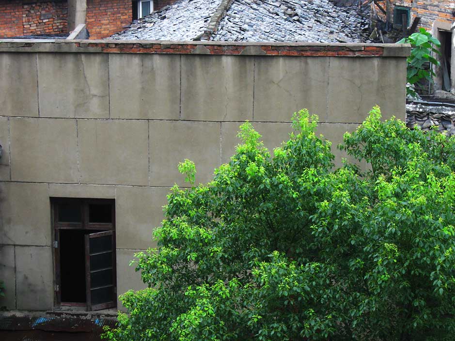 初夏,雨 摄影 冷风lengfeng