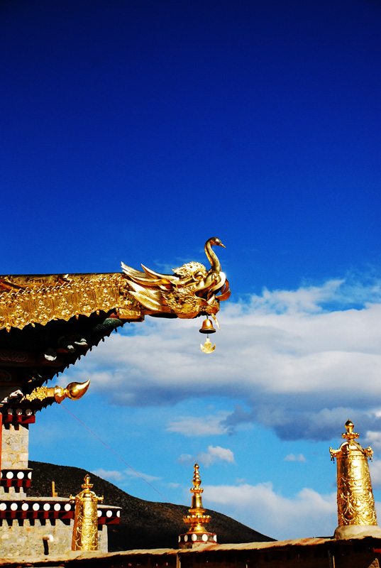 松赞林寺 摄影 小土堆儿