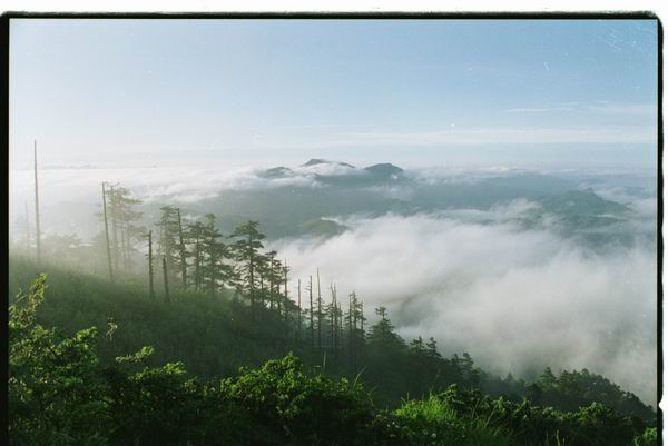 秀美秦岭 摄影 梁山石