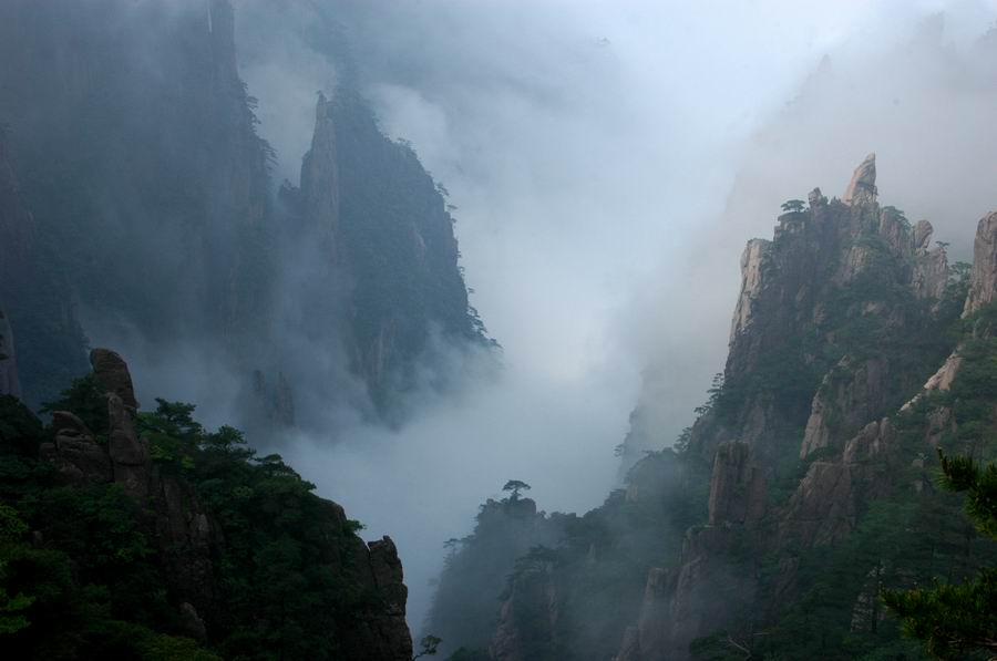 黄山（7）峡谷烟云 摄影 dannyzai