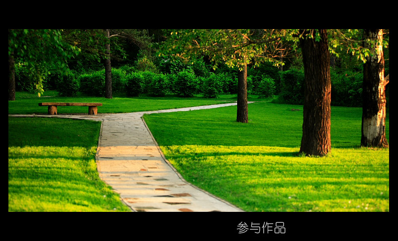 风景 摄影 参与